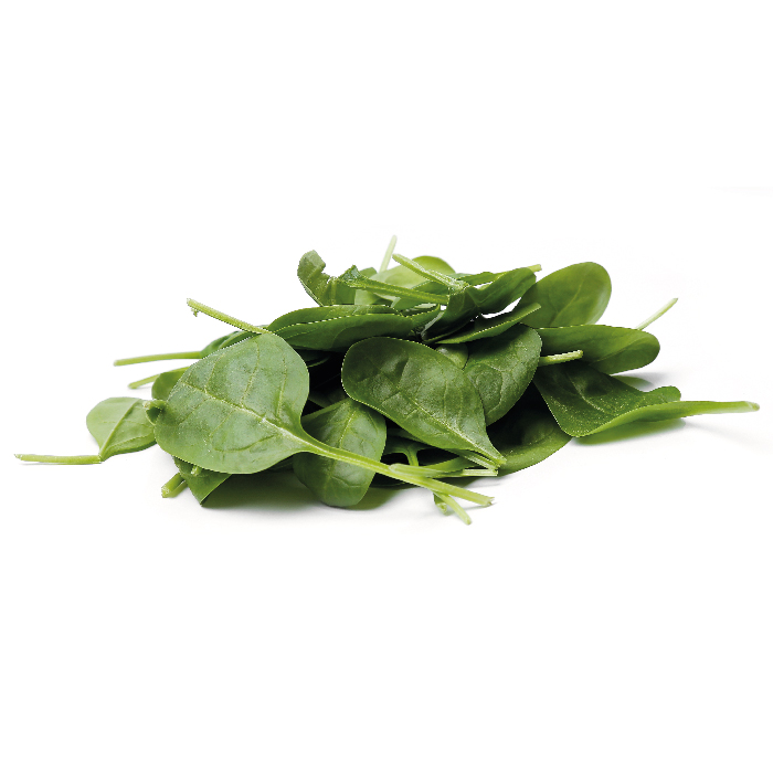 img-product-40
