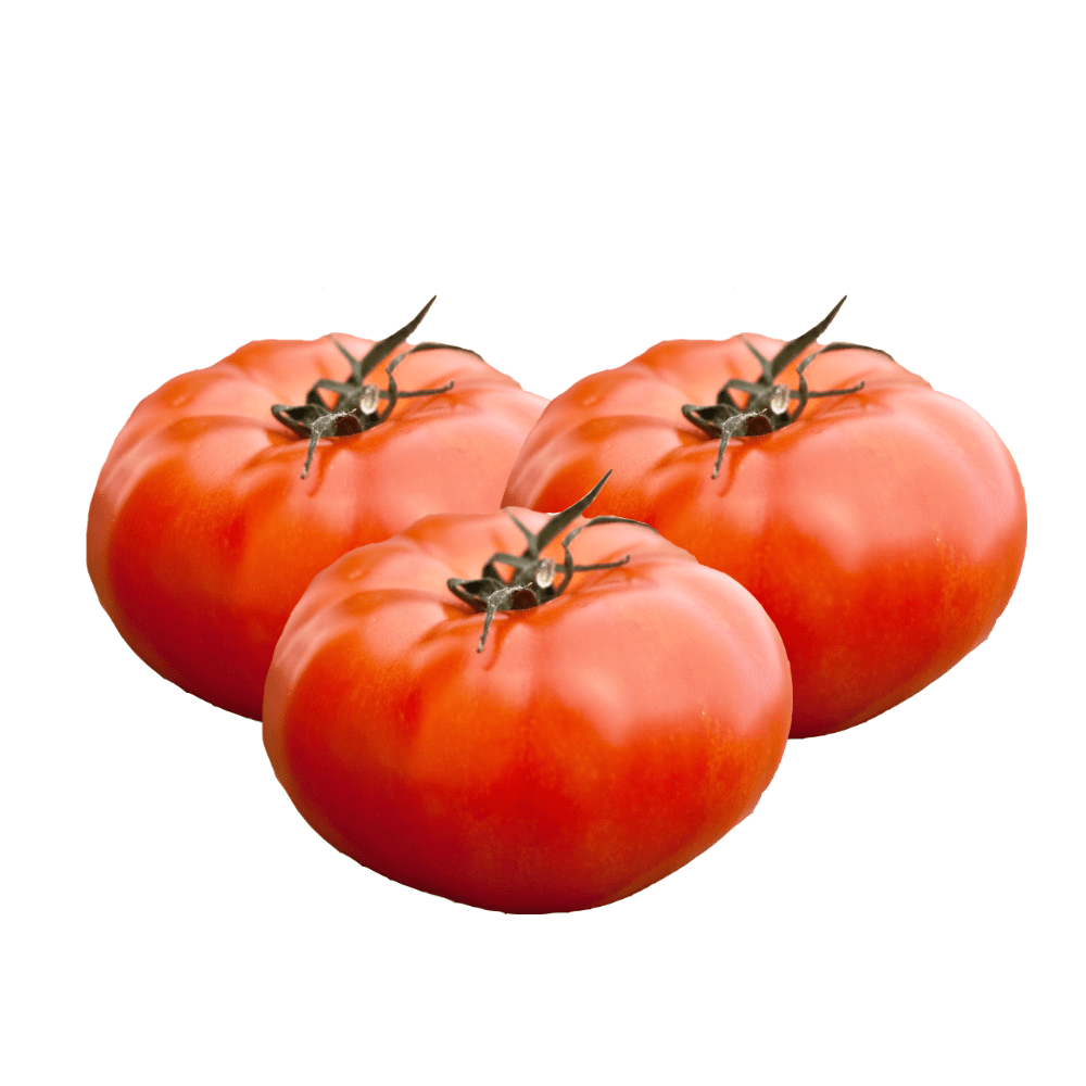 img-product-55